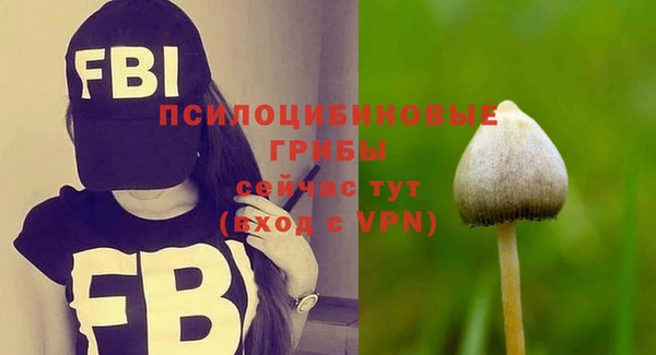 эйфоретик Белоозёрский
