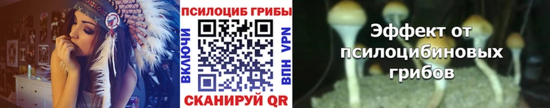 blacksprut tor  Верхняя Пышма  Псилоцибиновые грибы ЛСД 